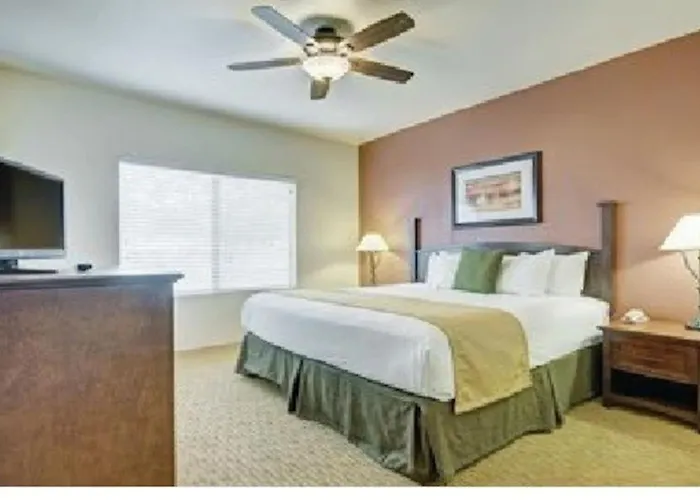 3bd Nestled In A Nature Preserve Amenities Including Pool Hot Tub * Phoenix